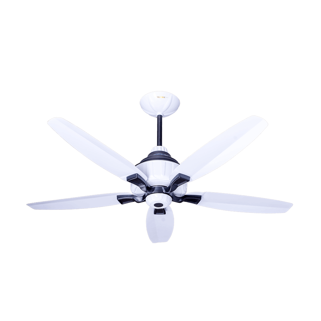 Astro 5 BLADE