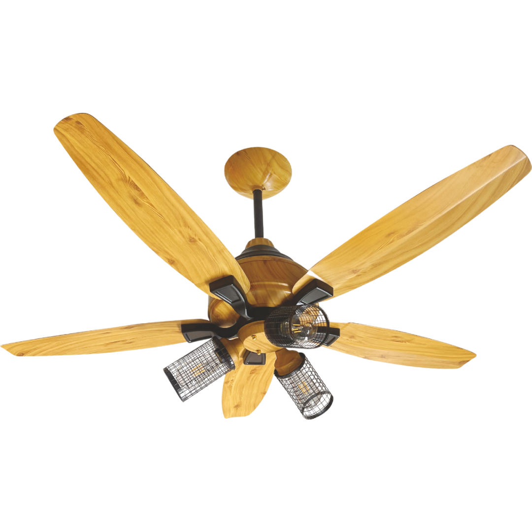 Astro Super Nova | LAHORE FAN